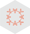 Rosacea / Couperose